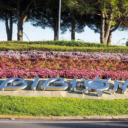 Homely Flat For 5, In A Area In Bibione