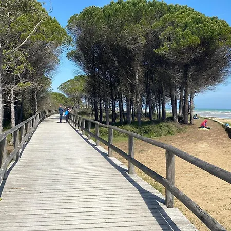 Homely Flat For 5 In A Area In * Bibione